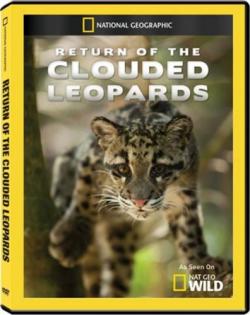    / NAT GEO WILD. Return of the Clouded Leopards VO