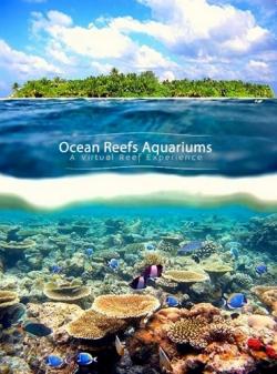    -    / Ocean Reef Aquarium: A Virtual Experience