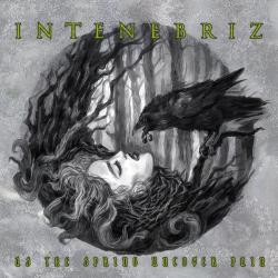 In Tenebriz - As The Spring Uncover Pain
