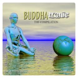 VA - Buddhatronic the Compilation Vol. 1