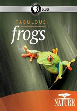   / PBS. Fabulous Frogs VO