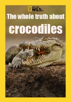     / The whole truth about crocodiles VO