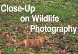     / Close-Up Wildlife Photography VO