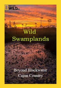   (1-2   2) / NAT GEO WILD. Wild Swamplands VO