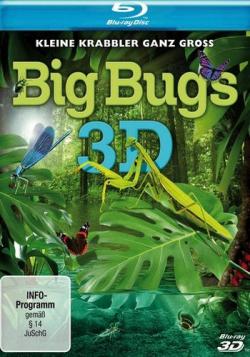   / Big Bugs DUB