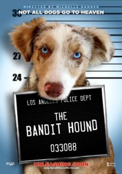 ϸ  / The Bandit Hound MVO