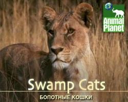   / Animal Planet. Swamp Cats VO