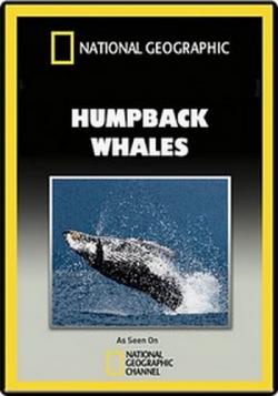  .   / Humpback Whales VO