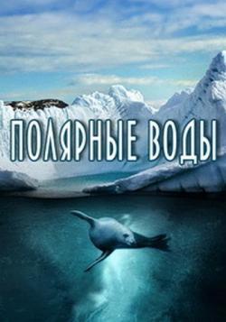   (1 : 1-10   10) / The Polar Sea DVO