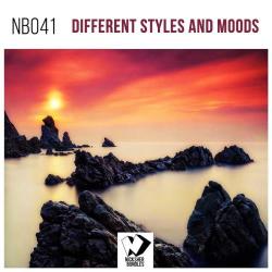 VA - Different Styles Moods