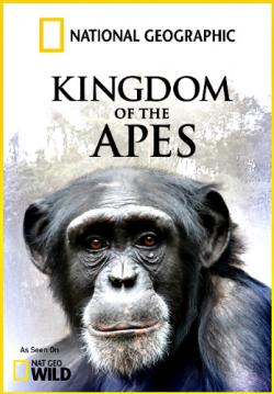  :    / NAT GEO WILD. Kingdom Of The Apes: Brother vs. Brother DUB