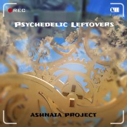 Ashnaia Project - Psychedelic Leftovers