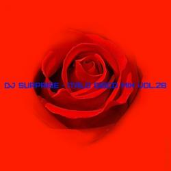 DJ Surprise - Italo Disco Mix Vol.28