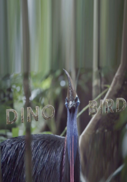 - / Dino-Bird VO
