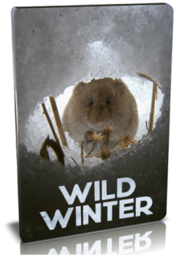 Дикая зима / NAT GEO WILD. Wild winter VO
