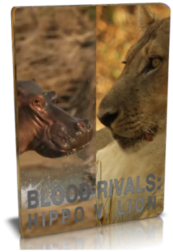 Кровавые соперники: гиппопотамы против львов / NAT GEO WILD. Blood rivals: Hippo V. Lion VO