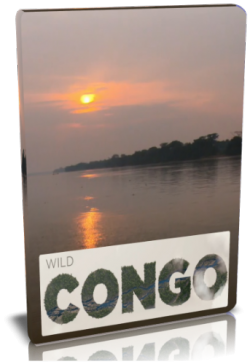 Дикая река Конго / NAT GEO WILD. Wild Congo VO
