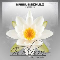 Markus Schulz - In Bloom