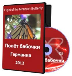   / Flight of the Monarch Butterfly VO