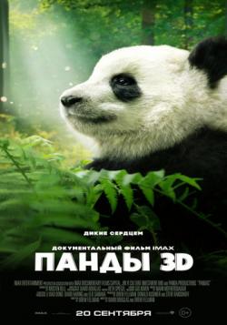  3D [] / Pandas DUB
