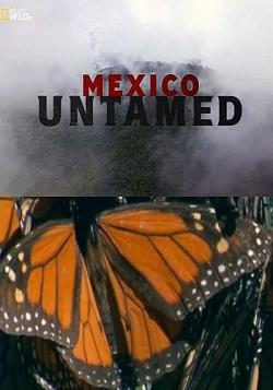   (2   2) / Mexico Untamed VO