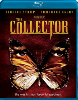  / The Collector MVO