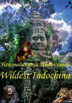  (1-5   5) / Animal Planet. Wildest Indochina DUB