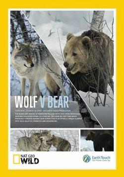    / NAT GEO WILD. Wolf vs. Bear VO