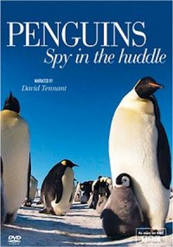 :    (1-3   3) / BBC. Penguins - Spy In The Huddle VO
