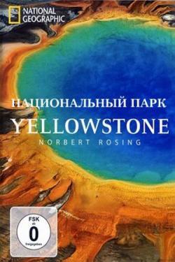  / Yellowstone