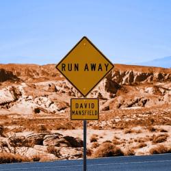 David Mansfield - Run Away