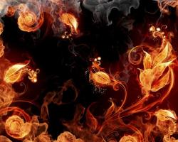 Dj Alex Spark - Fire Flower (2CD)