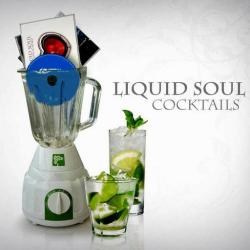 Liquid Soul - Cocktails (2CD)