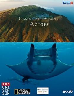 Морские гиганты Азорских островов / Giants of the Atlantic Azores VO