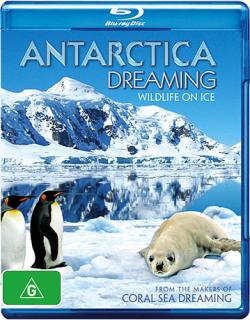 :     / HD Scape : Antarctica Dreaming - WildLife On Ice ENG