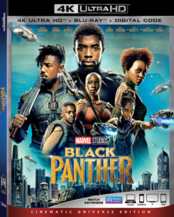 ׸  / Black Panther 2xDUB
