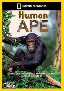 Человекообразные обезьяны / National Geographic. Human Ape VO