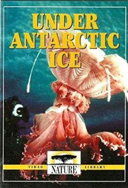 Антарктика. Подо льдом / Under Antarctic Ice DVO