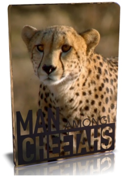    / NAT GEO WILD. Man amond cheetahs VO
