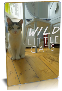 Дикие маленькие кошки / NAT GEO WILD. Wild little cats VO