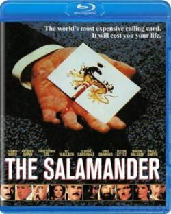  / The Salamander MVO+AVO