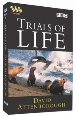 Борьба за выживание (1-12 серии из 12) / BBC. The Trials of Life VO