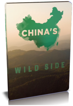   .     / NAT GEO WILD. China's wild side VO