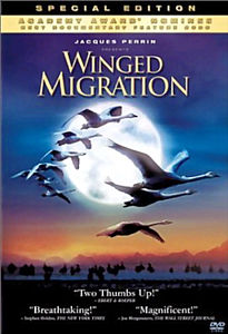 Nat Geo:  :    / Great Migrations: Born to move